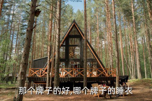 那个牌子的好,哪个牌子的睡衣