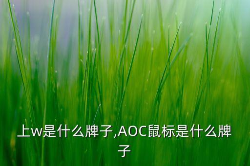 上w是什么牌子,AOC鼠标是什么牌子