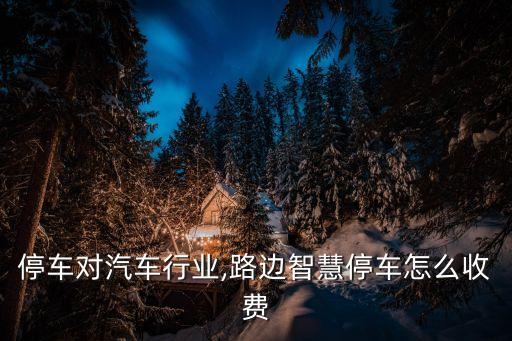 智慧停车对汽车行业,路边智慧停车怎么收费?