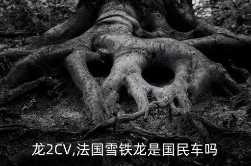 龙2CV,法国雪铁龙是国民车吗