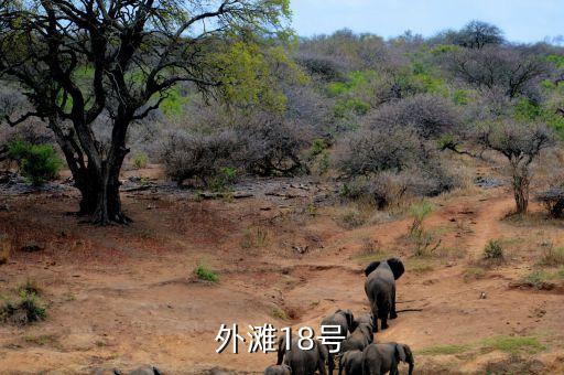 樊华外滩18号