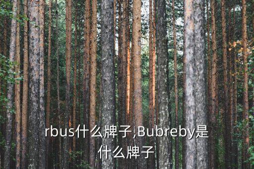 brrbus什么牌子,Bubreby是什么牌子?