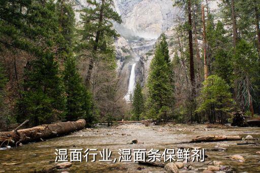 湿面行业,湿面条保鲜剂
