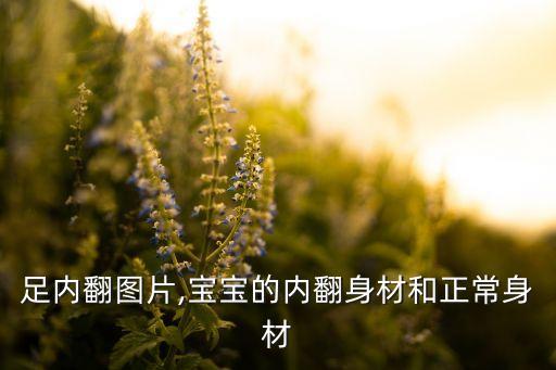 足内翻图片,宝宝的内翻身材和正常身材