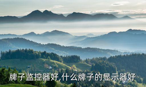 牌子监控器好,什么牌子的显示器好