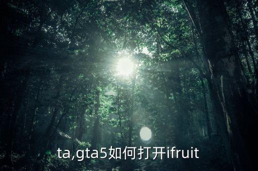 ta,gta5如何打开ifruit