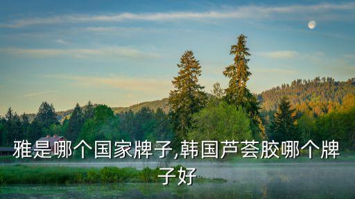 雅是哪个国家牌子,韩国芦荟胶哪个牌子好