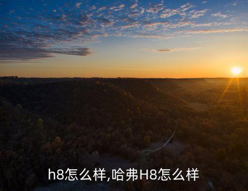 h8怎么样,哈弗H8怎么样