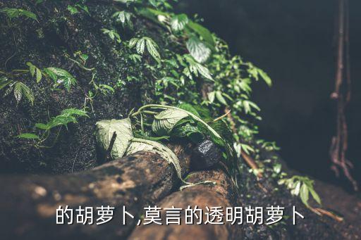 透明的胡萝卜,莫言的透明胡萝卜