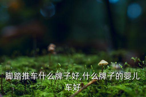 儿童脚踏推车什么牌子好,什么牌子的婴儿车好?