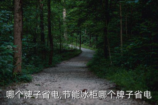 哪个牌子省电,节能冰柜哪个牌子省电