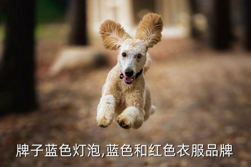 衣服牌子蓝色灯泡,蓝色和红色衣服品牌