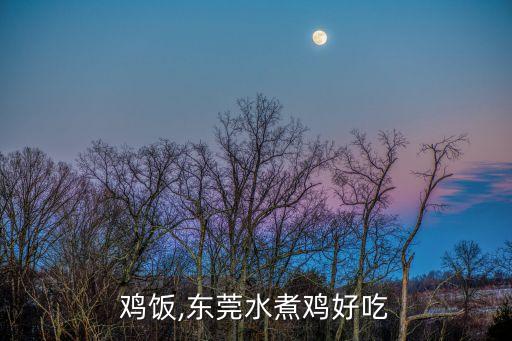 鸡饭,东莞水煮鸡好吃