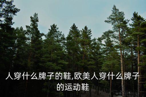 美国人穿什么牌子的鞋,欧美人穿什么牌子的运动鞋?