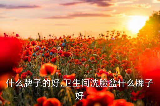 什么牌子的好,卫生间洗脸盆什么牌子好