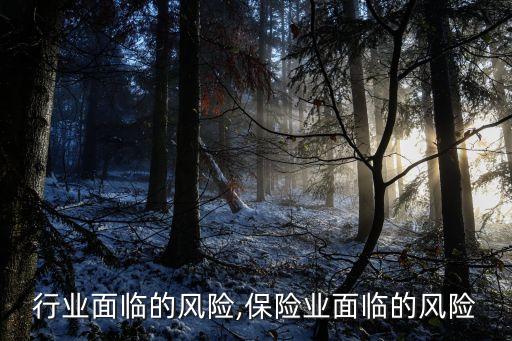 行业面临的风险,保险业面临的风险