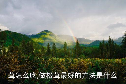 茸怎么吃,做松茸最好的方法是什么