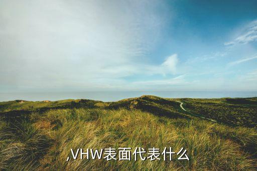 v面,VHW表面代表什么?