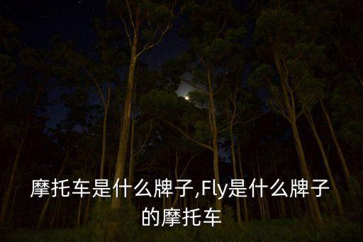 摩托车是什么牌子,Fly是什么牌子的摩托车