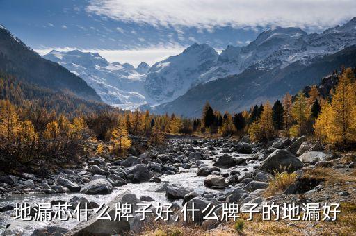 防臭地漏芯什么牌子好,什么牌子的地漏好?