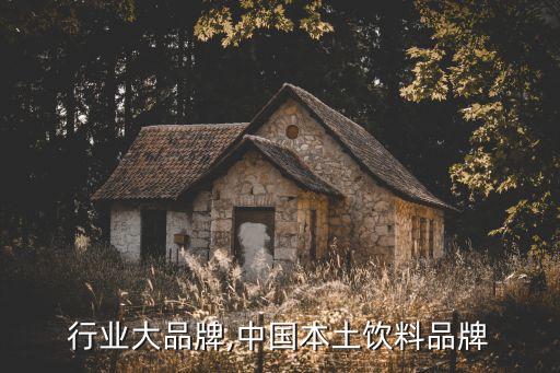 饮料行业大品牌,中国本土饮料品牌