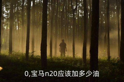 n20,宝马n20应该加多少油?