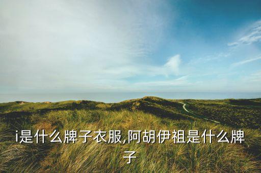 i是什么牌子衣服,阿胡伊祖是什么牌子