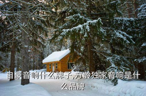 凌派自豪音响什么牌子,方龄独家音响是什么品牌?