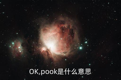 POOK,pook是什么意思?