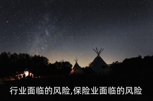 行业面临的风险,保险业面临的风险