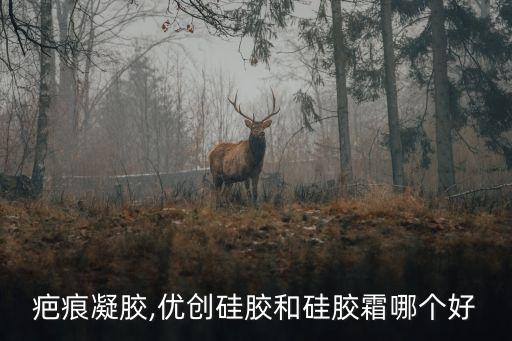 疤痕凝胶,优创硅胶和硅胶霜哪个好