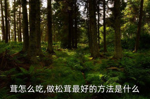 肉松茸怎么吃,做松茸最好的方法是什么?