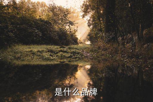 BX是什么品牌?