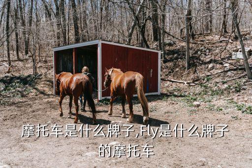 摩托车是什么牌子,Fly是什么牌子的摩托车