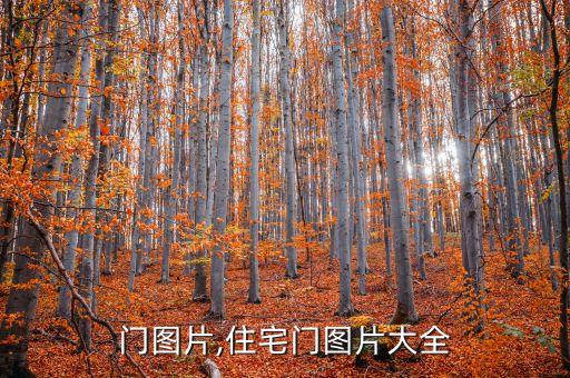 门图片,住宅门图片大全