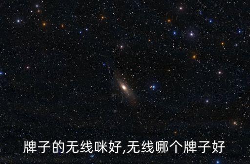 牌子的无线咪好,无线哪个牌子好