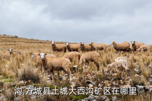 大西沟,方城县土城大西沟矿区在哪里?