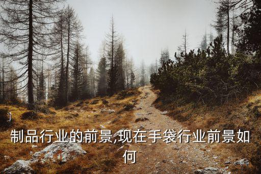 制品行业的前景,现在手袋行业前景如何