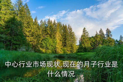 中心行业市场现状,现在的月子行业是什么情况