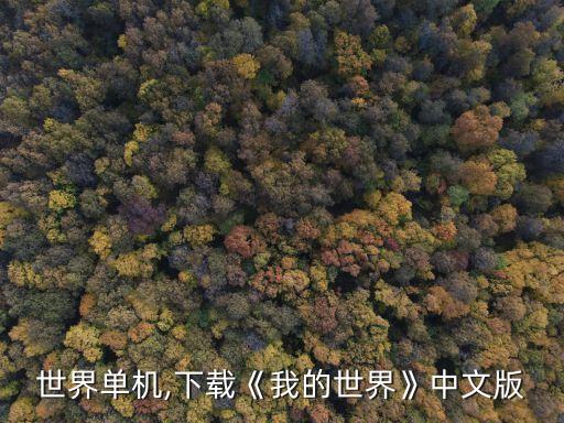 我的世界单机,下载《我的世界》中文版