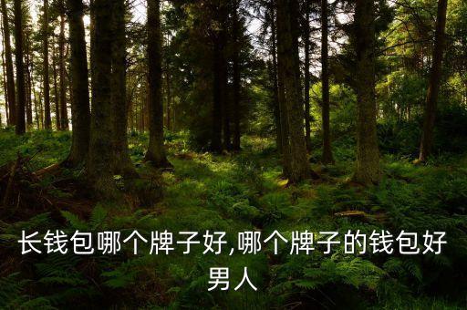长钱包哪个牌子好,哪个牌子的钱包好男人