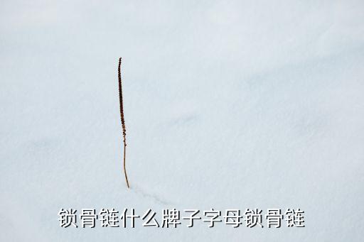 v字锁骨链什么牌子字母锁骨链