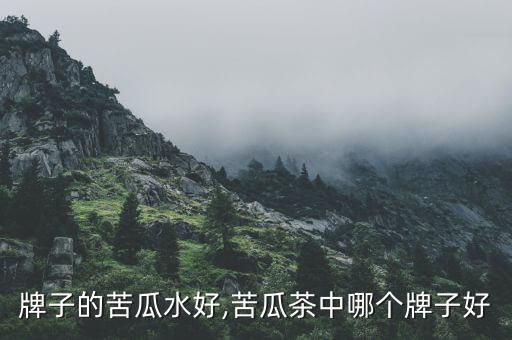 牌子的苦瓜水好,苦瓜茶中哪个牌子好