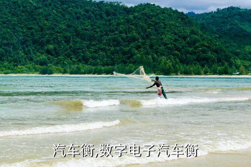 电子汽车衡,数字电子汽车衡