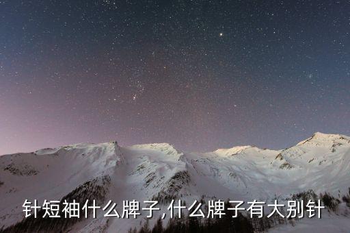 针短袖什么牌子,什么牌子有大别针