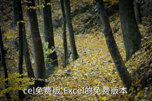 cel免费版,Excel的免费版本