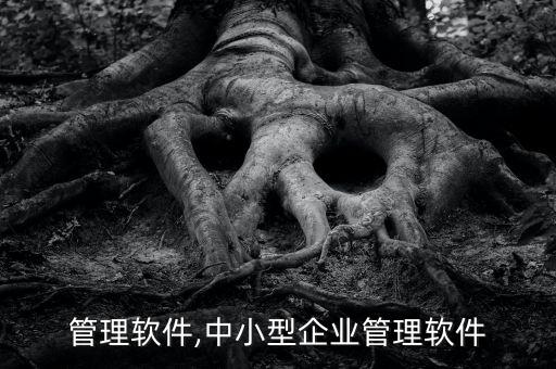 企业管理软件,中小型企业管理软件