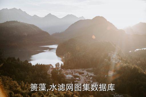 日本箦藻,水滤网图集数据库