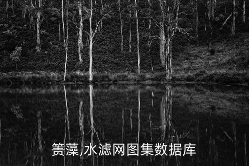 箦藻,水滤网图集数据库