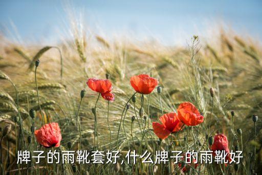 牌子的雨靴套好,什么牌子的雨靴好